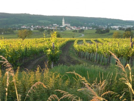 Winzerort Kleinhöflein